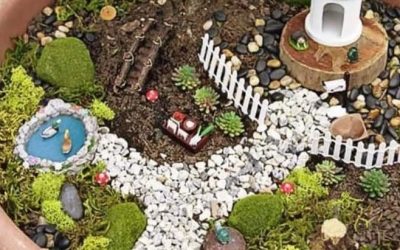 Brooklands Dunmurry create an enchanted garden! (July, 2020)